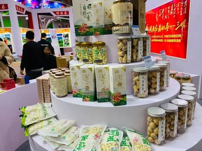 2019福建旅游生活展在福州海峡会展中心开幕